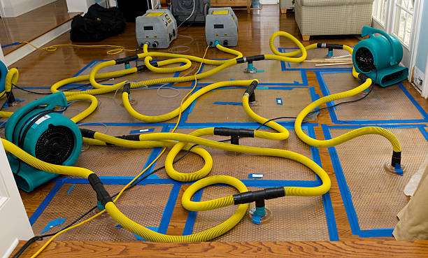 Professional Flood Damage Restoration technician working in Wayland, MI